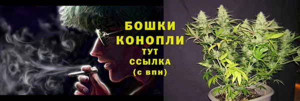 ПСИЛОЦИБИНОВЫЕ ГРИБЫ Кукмор
