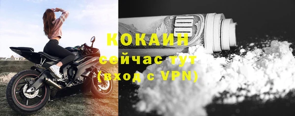 ПСИЛОЦИБИНОВЫЕ ГРИБЫ Кукмор