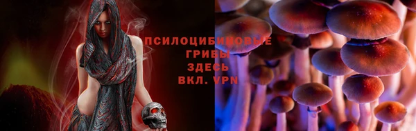 ПСИЛОЦИБИНОВЫЕ ГРИБЫ Кукмор