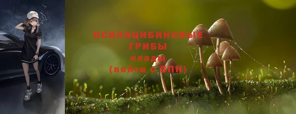 ПСИЛОЦИБИНОВЫЕ ГРИБЫ Кукмор