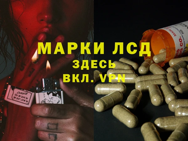 ПСИЛОЦИБИНОВЫЕ ГРИБЫ Кукмор