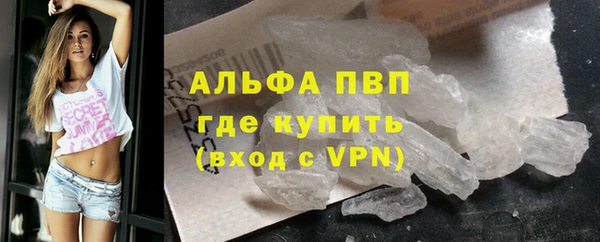 ПСИЛОЦИБИНОВЫЕ ГРИБЫ Кукмор