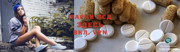 ПСИЛОЦИБИНОВЫЕ ГРИБЫ Кукмор